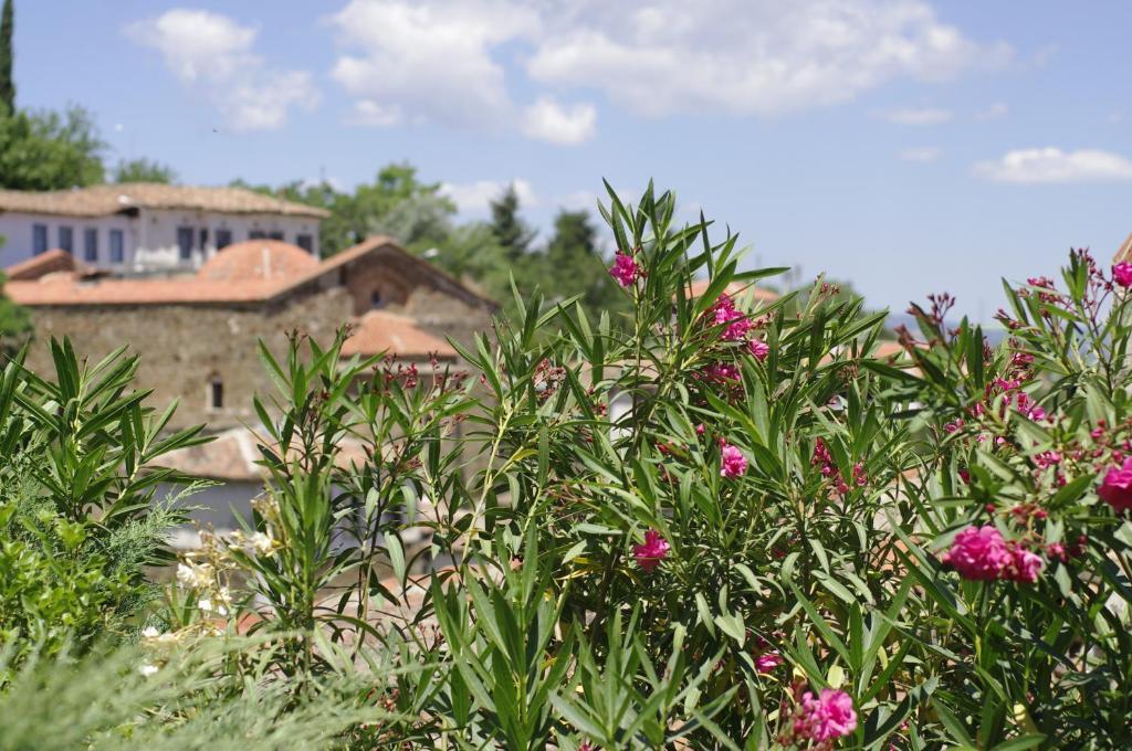 Terrace Houses Sirince Selcuk Rom bilde